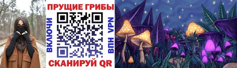 Галлюциногенные грибы Psilocybine cubensis  Купить закладки  Краснослободск 